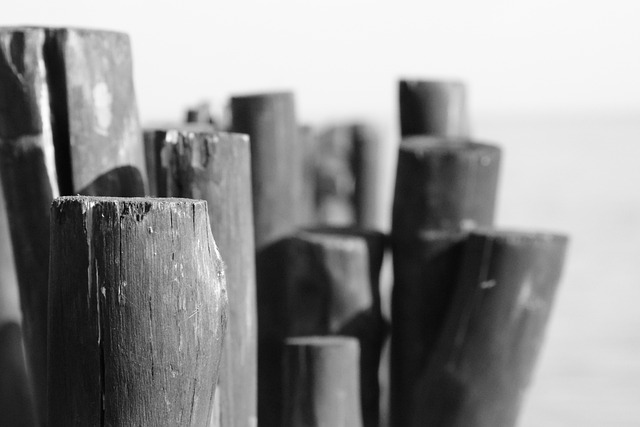 Corporate Assurance and Compliance Audit